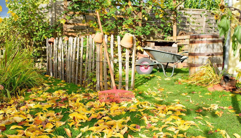 Laub, Tonne, Rasen, Sträuchern, Boden, Gartentiere Dieses Laub ist zu schade für die Tonne: Vom Rasen zusammengerecht, schützt es unter Sträuchern den Boden und bietet kleinen Gartentieren Unterschlupf.