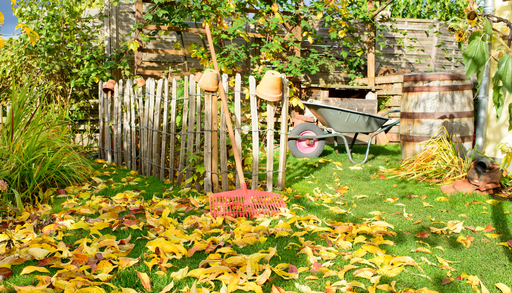 Herbst im Garten: Jetzt den Fr&uuml;hling pflanzen! Warum zu viel Ordnung Igeln, V&ouml;geln und Insekten schadet