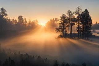 Herbstzeit ist Nebelzeit: Hochdruckwetter bedeutet nicht immer 'eitel Sonnenschein'