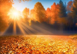 Der Herbst 2023 wird toll: Das sagen die langfristigen Wetterprognosen für Deutschland!