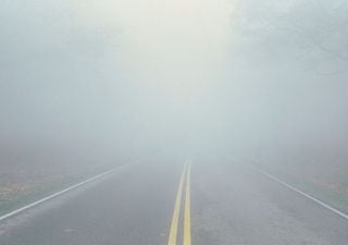 Herbstnebel: Warum die graue Suppe manchmal bis zum Nachmittag bleibt und der Sonne kaum eine Chance l&auml;sst