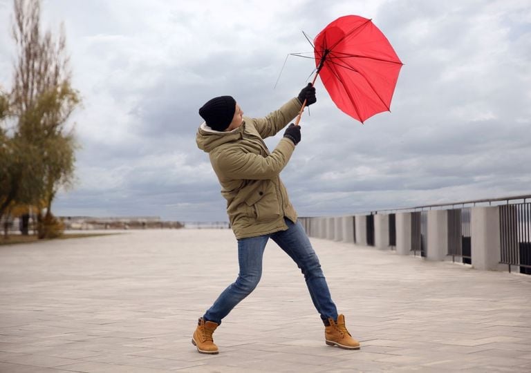 Herbststurm im Anflug? Warum Tiefdruckgebiete im Oktober pl&ouml;tzlich so viel Wind bringen