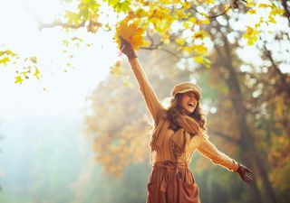 Herbstwetter zum Verzweifeln: Zwischen Sonnen-Paradies und Dauer-Nebel-Grau