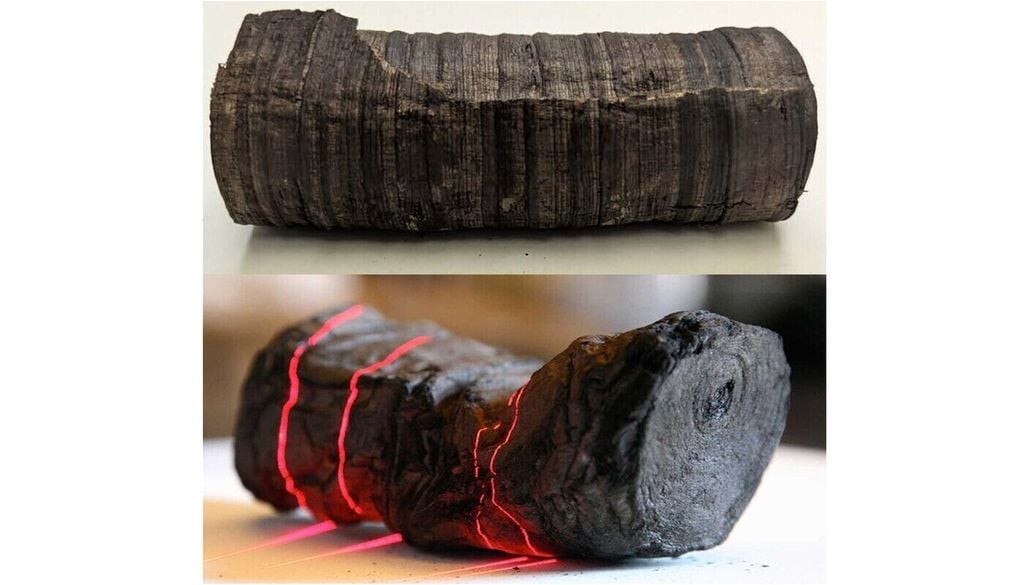 Die Versuchsrollen hatten einen Durchmesser von 4 Zentimetern und eine Länge von 11 Zentimetern. Die Versuchsrollen hatten einen Durchmesser von 4 Zentimetern und eine Länge von 11 Zentimetern. Bild: D. Seiler and the EduceLab, Univ. of Kentucky