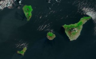 Heridas incendiarias en Canarias: verano de 2012