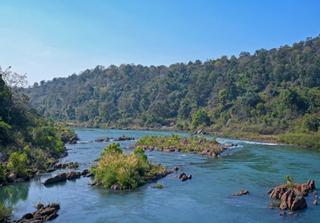 Herói ambiental Alok Shukla recebe prémio Goldman por defender as florestas de Chhattisgarh