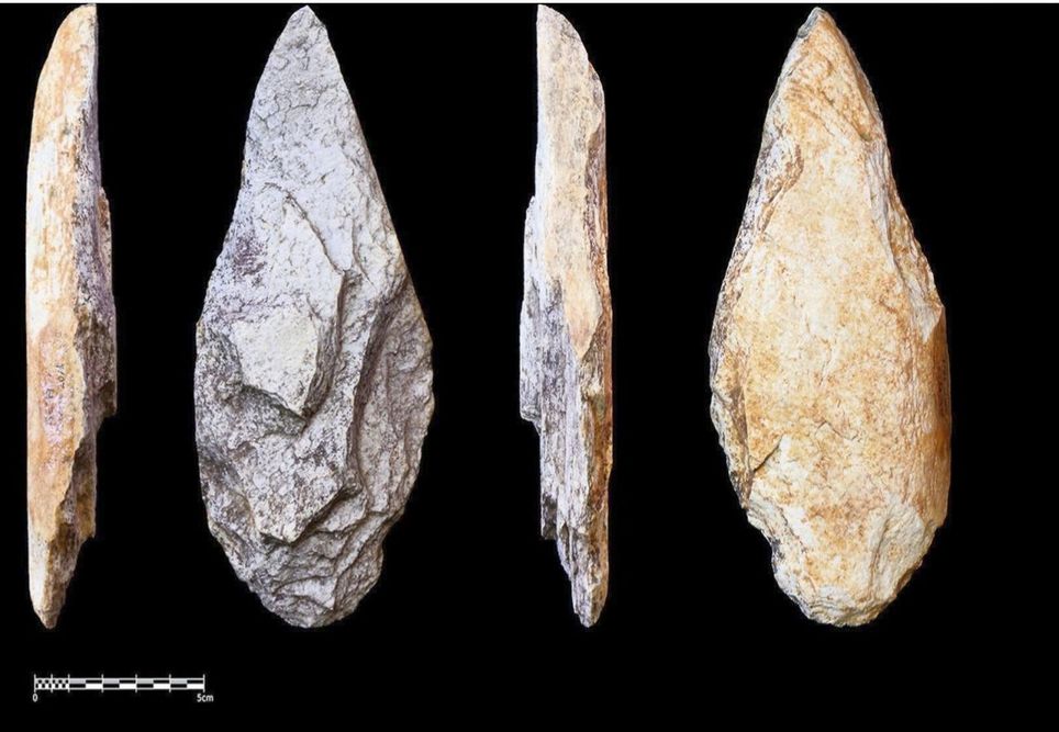 Unos hallazgos excepcionales en África Central ponen de relieve por primera vez un nuevo foco en la evolución humana . Noticias en tiempo real