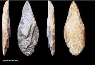 Exceptional finds in Central Africa highlight for the first time a new focus on human evolution