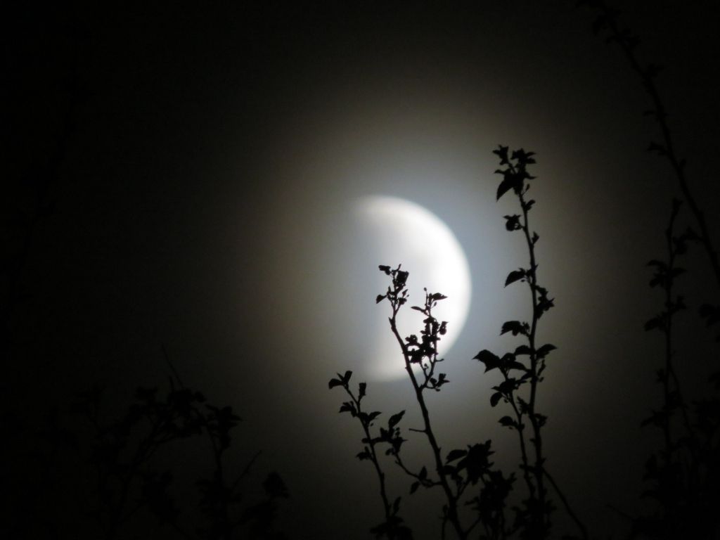Partielle Mondfinsternis Partielle Mondfinsternis