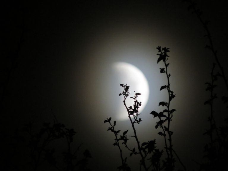 Partielle Mondfinsternis Partielle Mondfinsternis