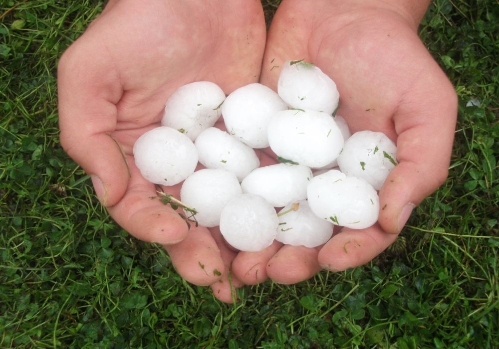 Hagel richtet Schaden an Hagel richtet Schaden an