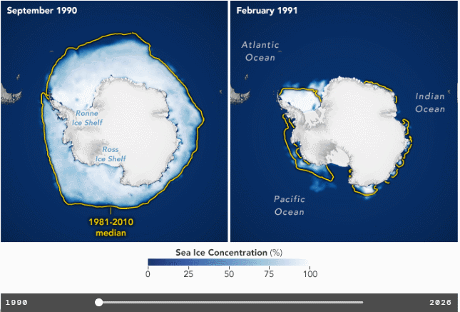 Evolución de la concentración promedio de hielo marino antártico para el mes de septiembre (izquierda) y el mes de febrero siguiente (derecha), desde 1990 hasta 2026. NASA