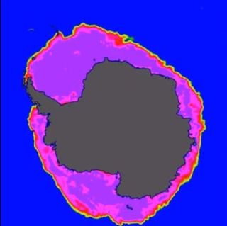 Hielo marino antártico en 2012: evolución hasta su máximo