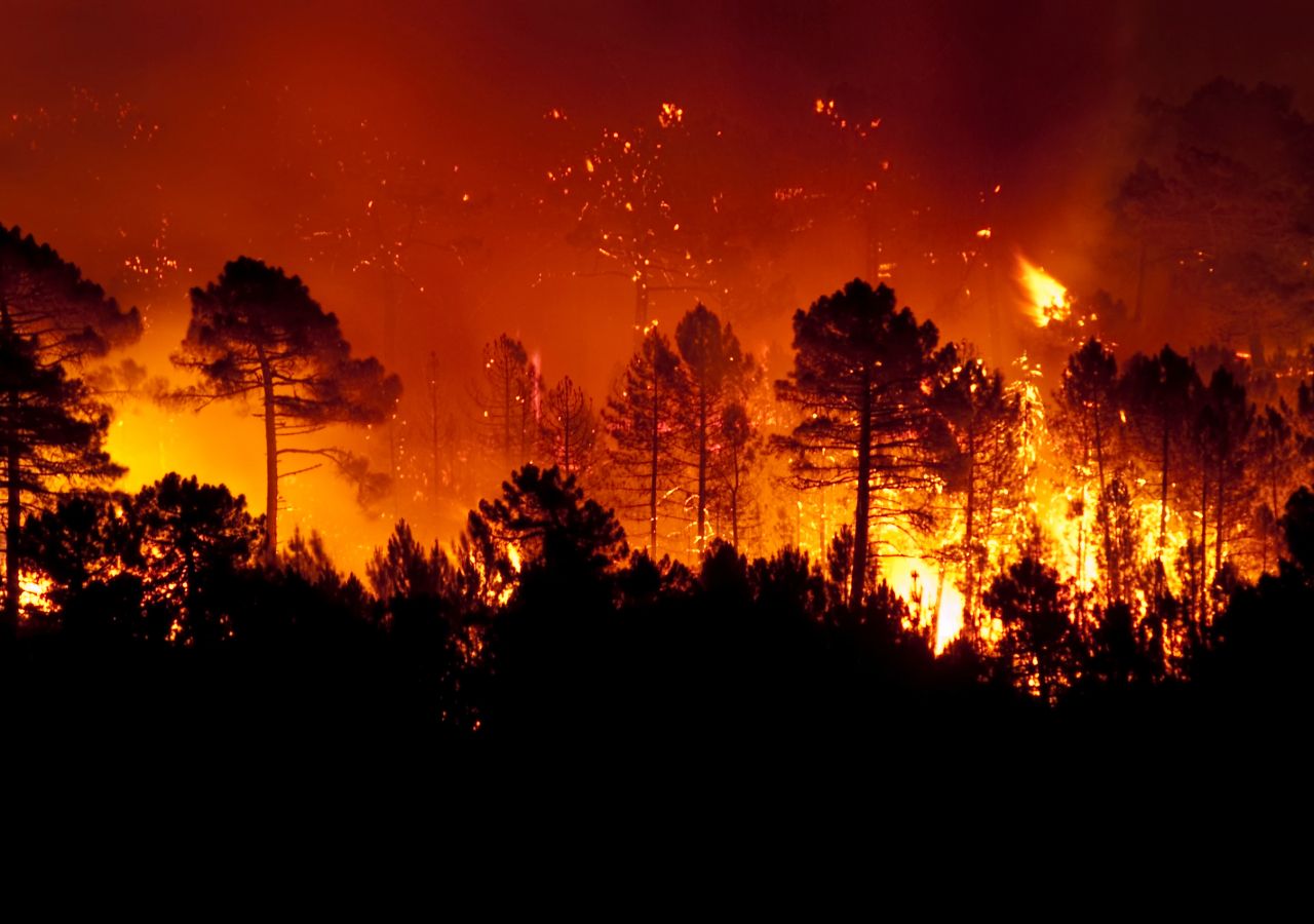 FireSat wurde entwickelt, um Waldbrände zu erkennen, bevor sie außer Kontrolle geraten