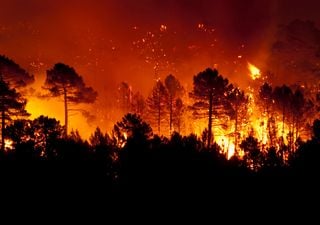 FireSat satellite releases first images to show shocking spread of wildfires