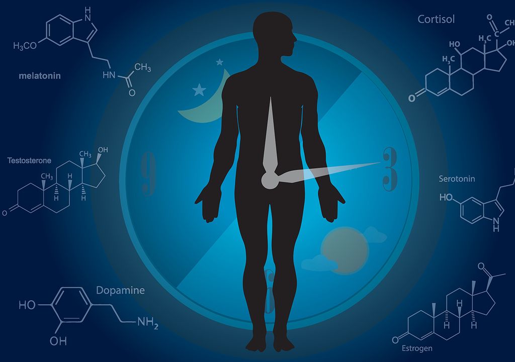 mente humana mente humana