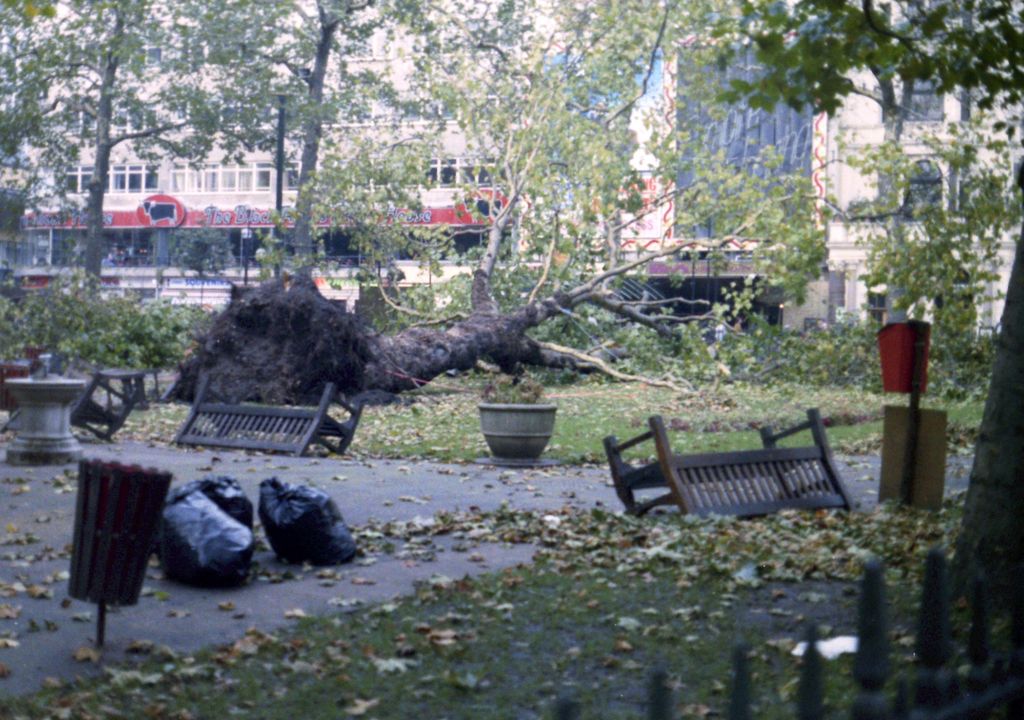 Historic hurricane of 1987 reveals disconnect with nature