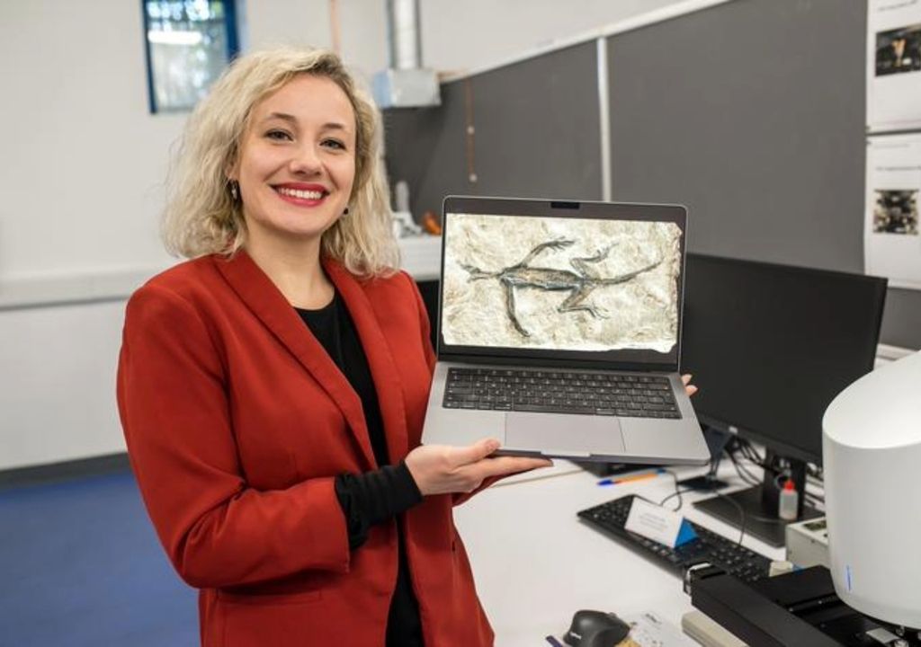 Een onderzoeker toont een afbeelding van een fossiel op een laptop