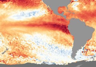 "Históricamente fuerte": así se proyecta para los próximos meses la categoría de El Niño