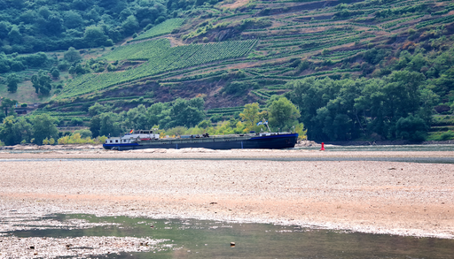 Historisches Niedrigwasser droht deutsche Schifffahrt lahmzulegen: Rhein kurz vor der Teilung! Das hat heftige Folgen!