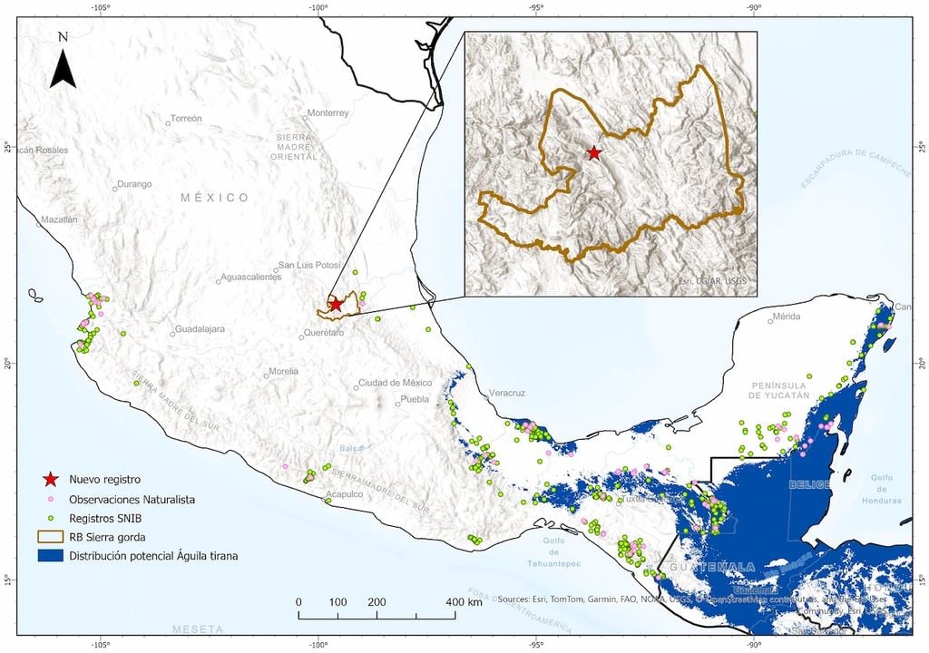 Detectado específicamente en el ejido Ayutla, dentro del municipio de Arroyo Seco. Crédito: CONANP/Gobierno de México.