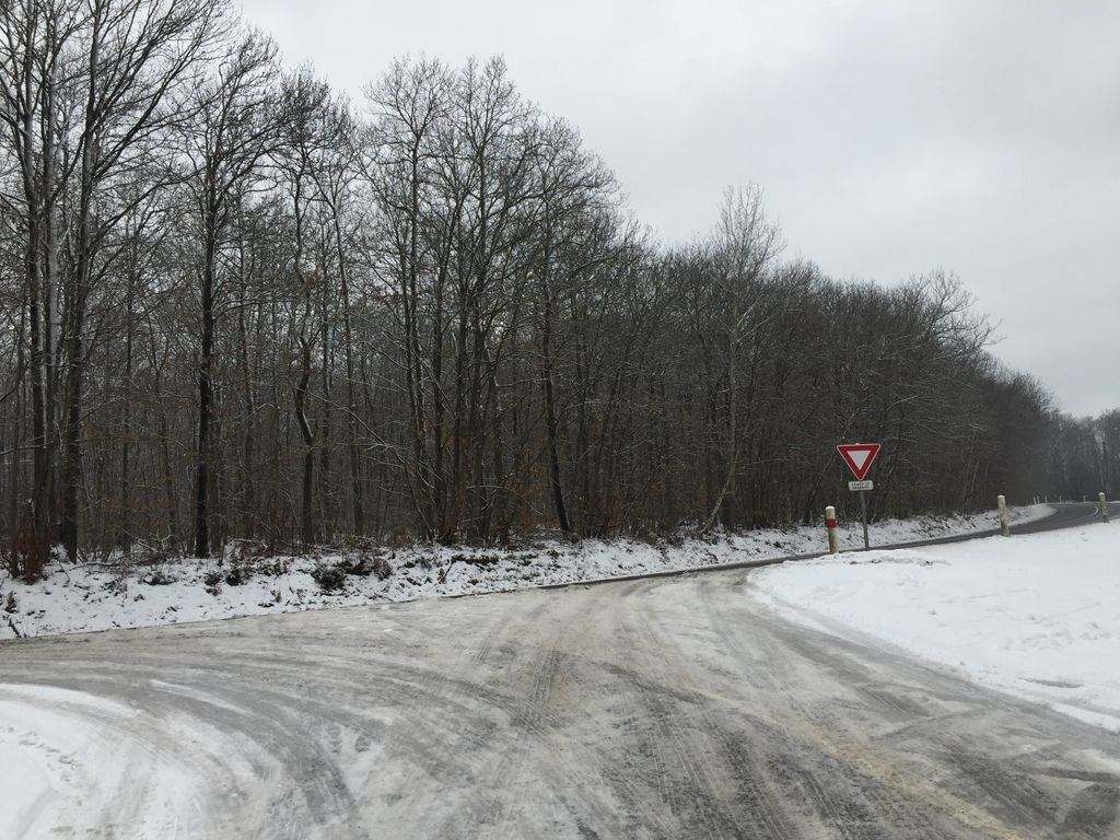 De la neige en plaine ces prochains mois ? Les offensives hivernales devraient être rares et discrètes selon les derniers scénarios... De la neige en plaine ces prochains mois ? Les offensives hivernales devraient être rares et discrètes selon les derniers scénarios...