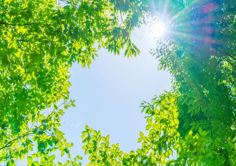 Sonnenchein Sonnenchein