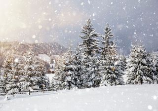 Hochgiftige Partikel im Schnee – ist die weiße Pracht plötzlich eine unsichtbare Bedrohung?