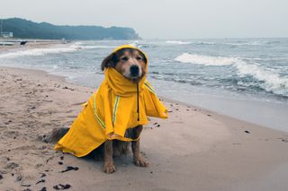 Höhentief bringt Starkregen für die Ostsee - Fluch für die Urlauber, Segen für die Natur 