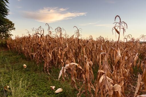 "H&ouml;rt das denn nie auf?" - Hitze und Trockenheit bleiben Baden-W&uuml;rttemberg auch im September treu