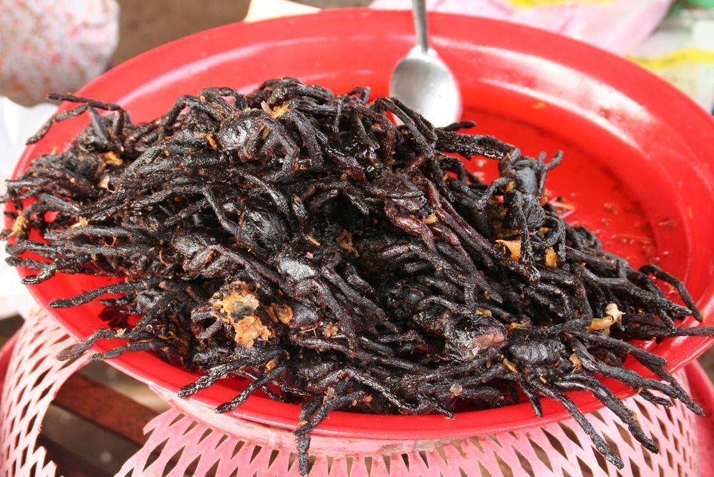 Das muss man wollen: Frittierte Taranteln. Foto: Adobe Stock