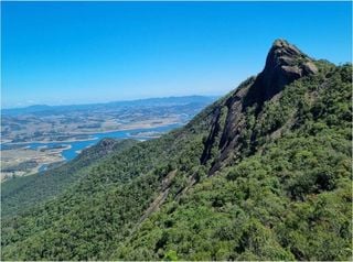 Hoje comemora-se o Dia Nacional da Mata Atlântica: veja cinco destinos incríveis para curtir o bioma