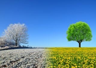 Hoje é a Nossa Senhora das Candeias: que tempo se prevê para o resto do inverno em Portugal?