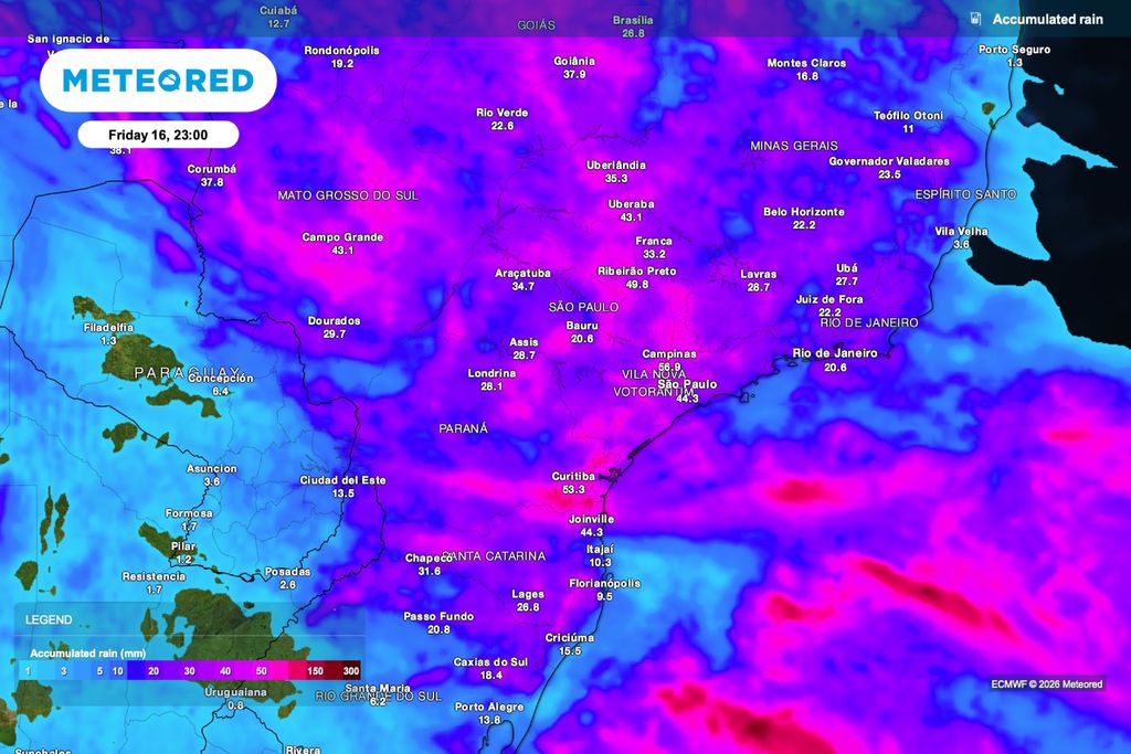 chuva, Crisântemos Previsão de chuva acumulada até sexta-feira (16), às 23h.