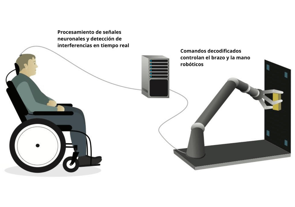 La iustración muestra cómo la interfaz cerebro-computadora (BCI) recibe señales cerebrales para decodificar y permitir que un participante del estudio mueva el brazo robótico. Imagen: UCSF. La iustración muestra cómo la interfaz cerebro-computadora (BCI) recibe señales cerebrales para decodificar y permitir que un participante del estudio mueva el brazo robótico. Imagen: UCSF.