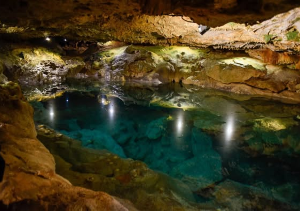 Homún en Yucatán: cenotes sin gente para sumergirte en el silencio. Noticias en tiempo real