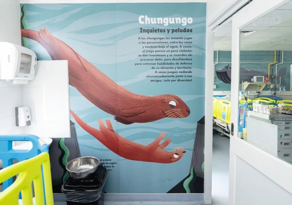 Los murales de esta unidad muestran a animales como el Chungungo, el gato andino, el chincol y la rana de hojarasca. Crédito imagen: Instagram Escena Silvestre.