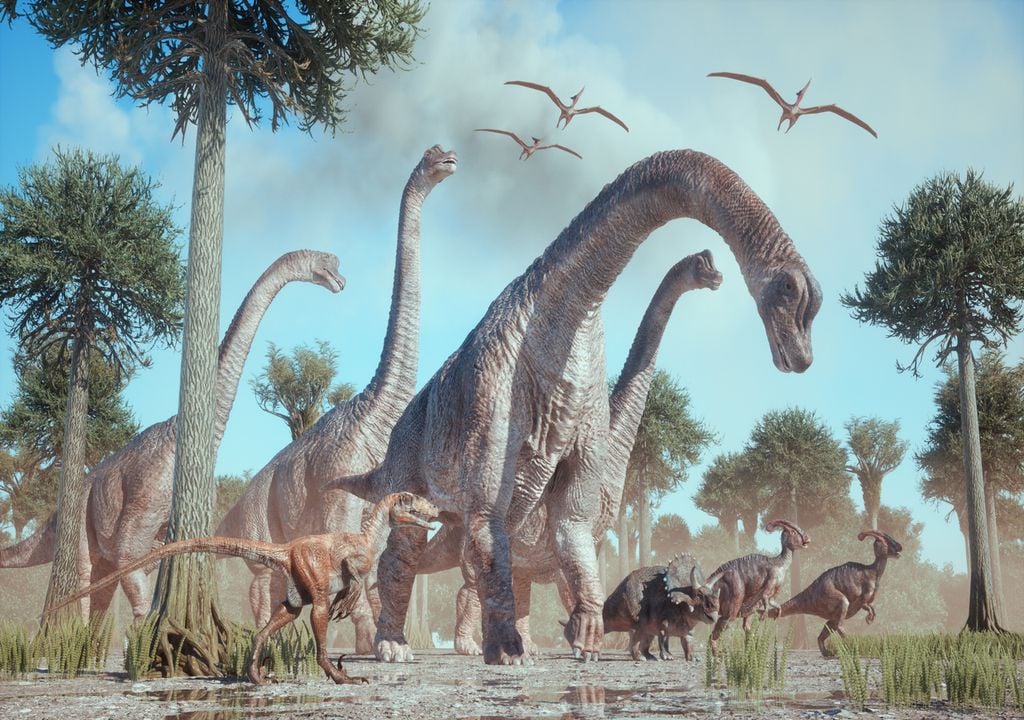 Sauropod