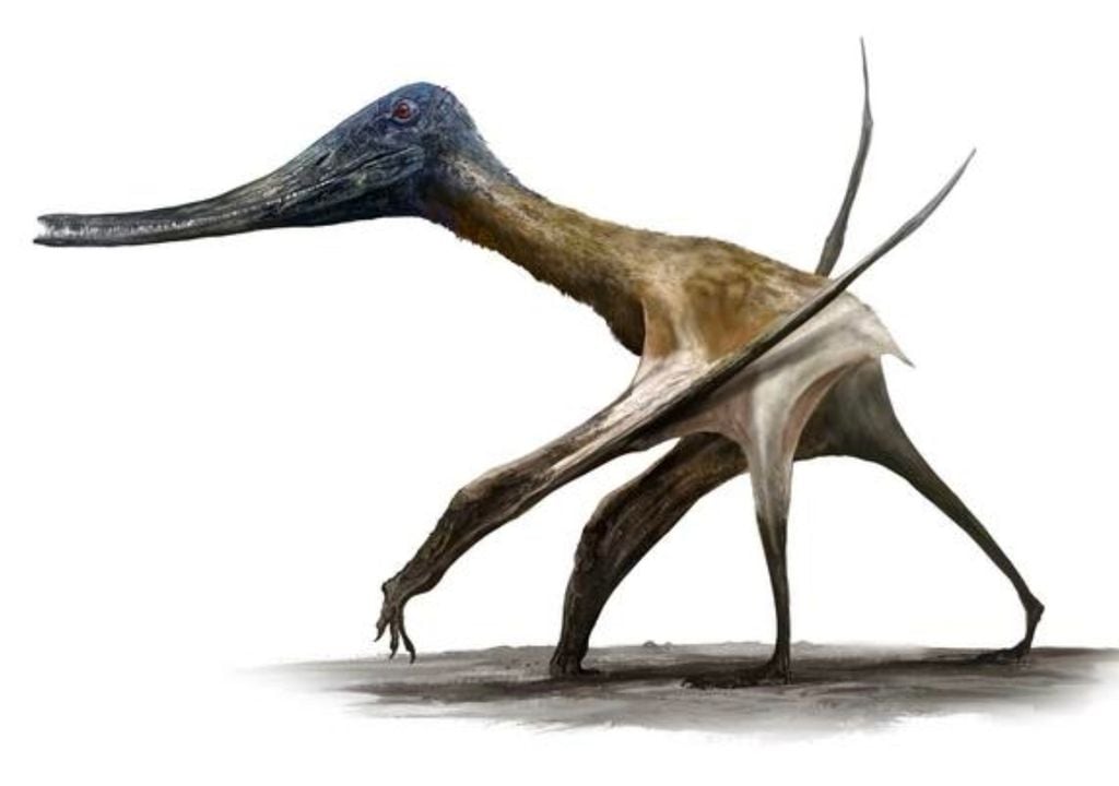 pterosauri