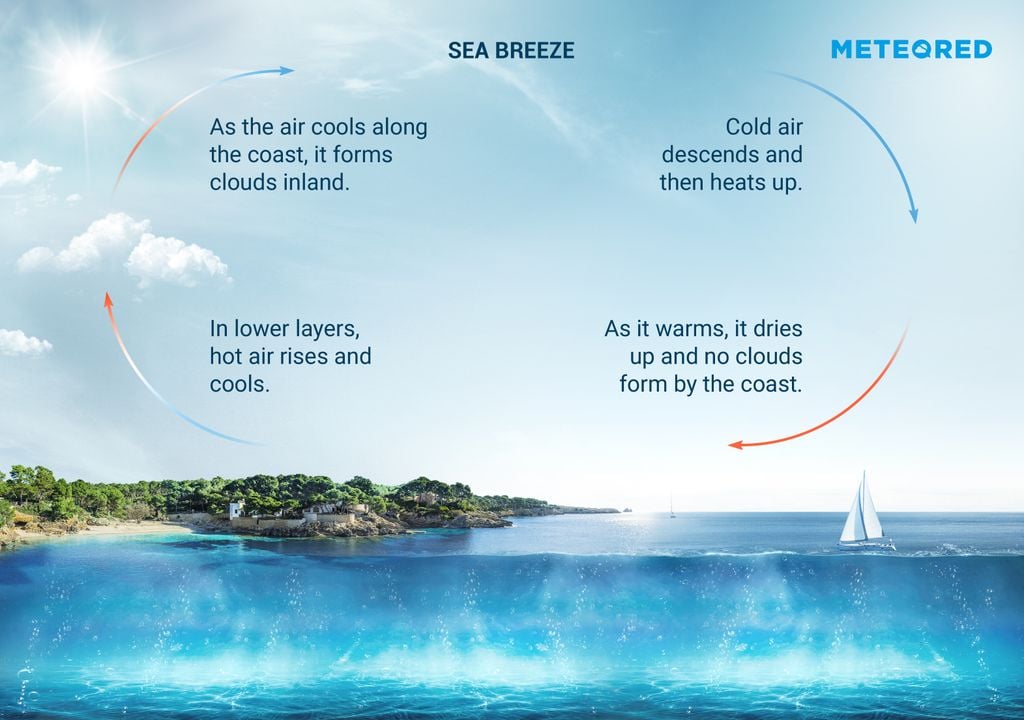 Infographic explaining the formation of sea breezes.