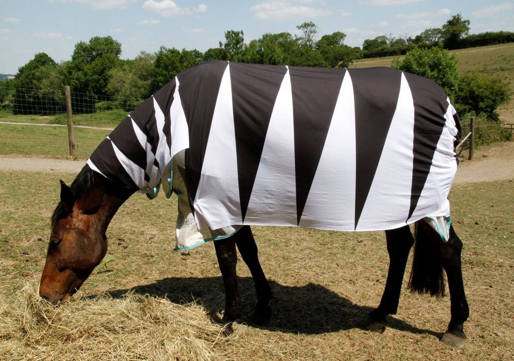 How do zebra stripes work?
