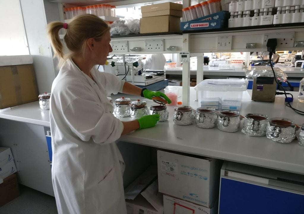 Scientists test soil microbes (c) Océane Nicolitch, The University of Manchester