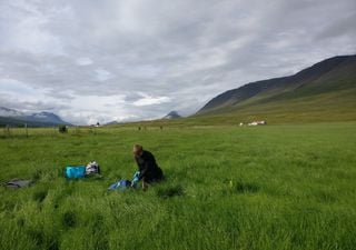 How does climate change affect soil health?