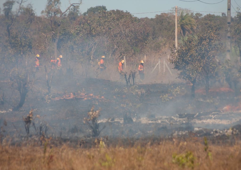 Previsión De Incendios Forestales Cómo Combaten Los Meteorólogos El