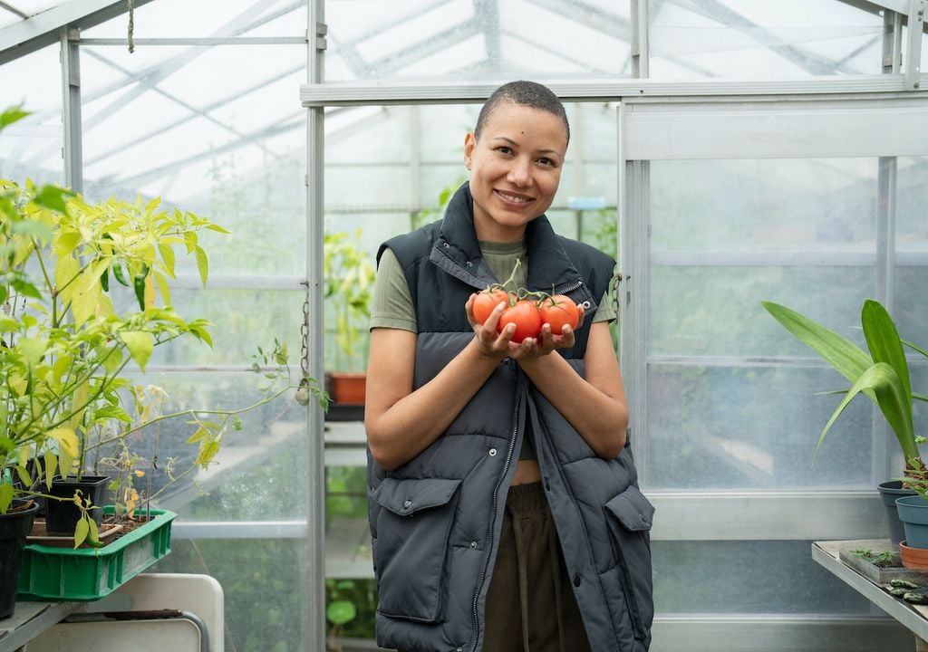 persona dentro de un invernadero con tomates en sus manos