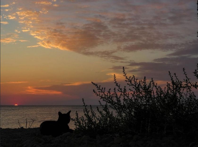 Hoy Al Atardecer En Rota (Cádiz), 20.08.2018 Hoy Al Atardecer En Rota (Cádiz), 20.08.2018