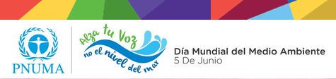 Hoy Dmma