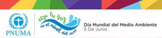 Hoy DMMA