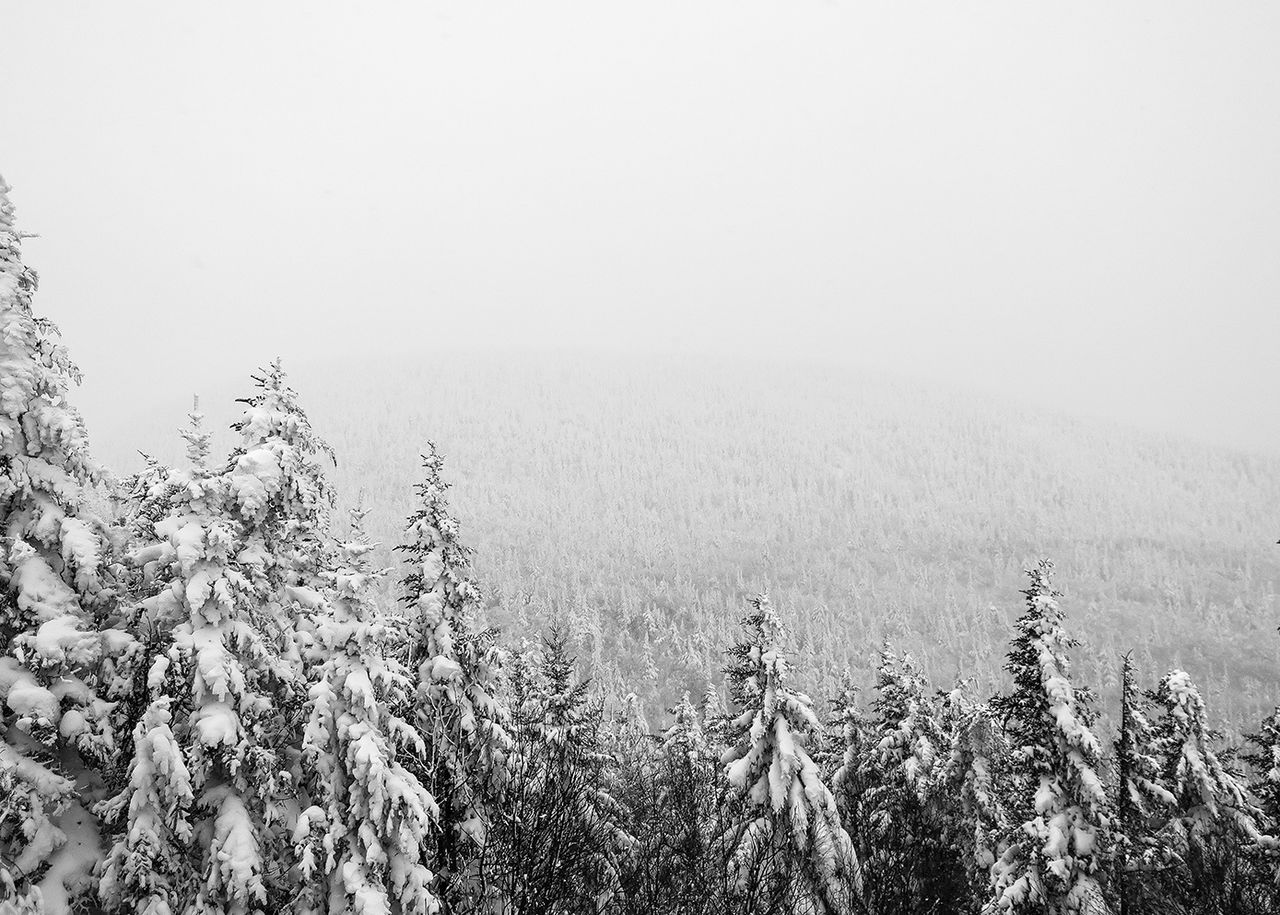 En las próximas horas se podrán acumular más de 50 centímetros de nieve en las sierras del norte peninsular. Foto: Jeremy Kovac.
