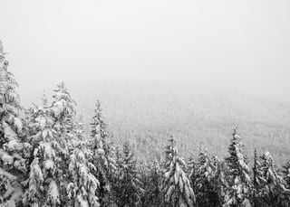 Hoy llegan el aire polar y, ¡los avisos rojos por nieve!